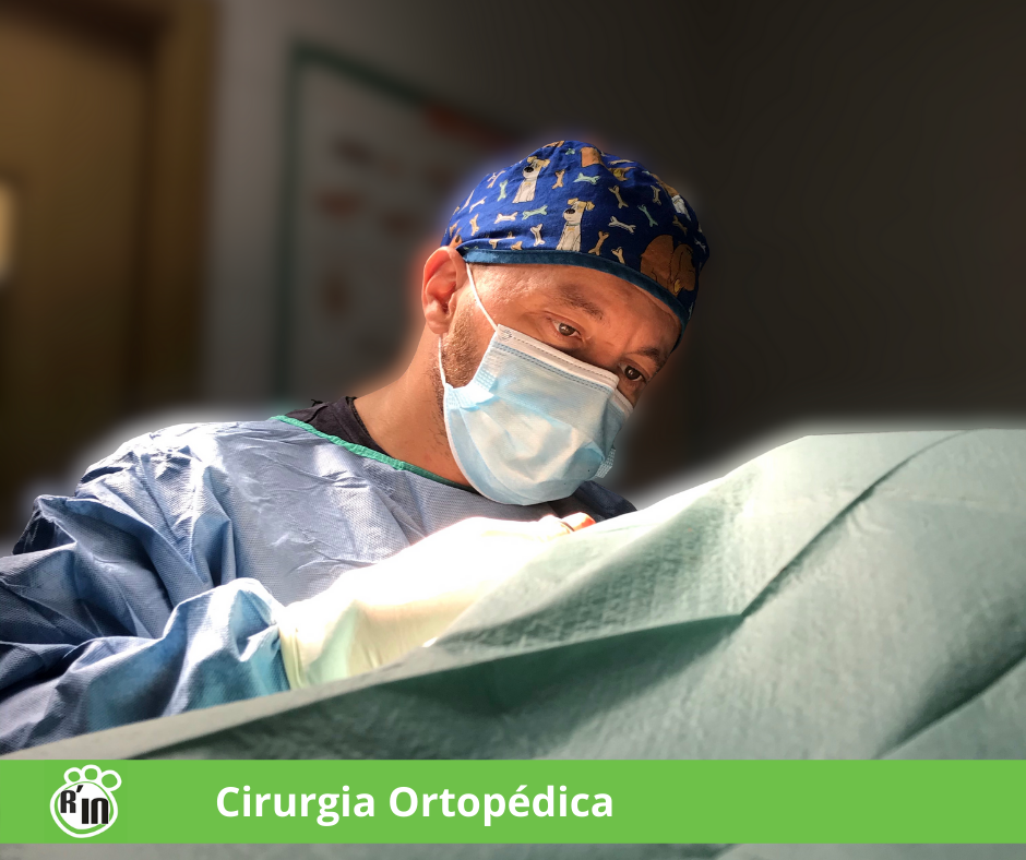 cirurgia_ortopedica_img